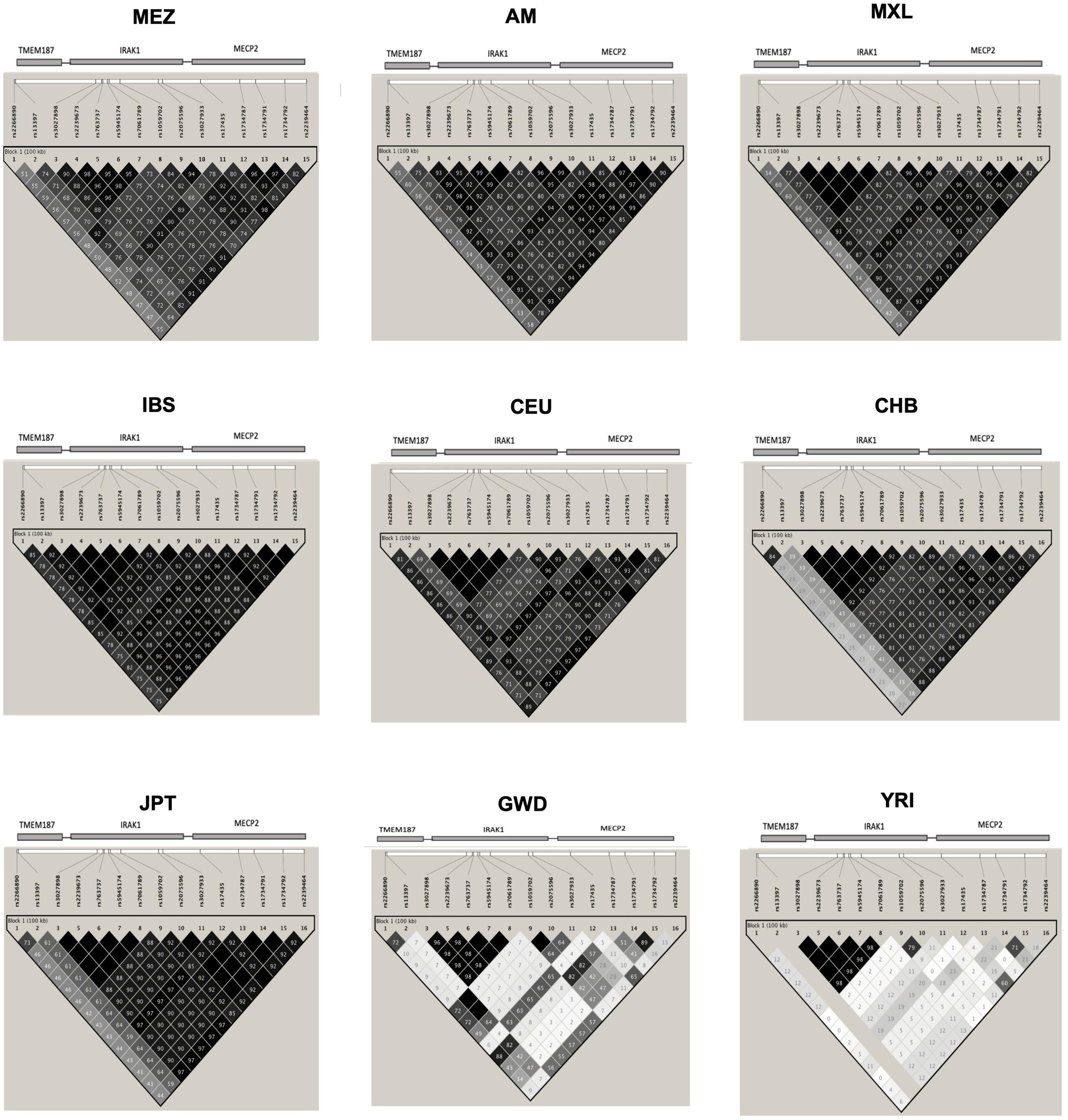 Ancestry-dependent genetic structure of the Xq28 risk haplotype in the Mexican population and its association with childhood-onset systemic lupus erythematosus